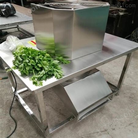 山东旭菲专业生产 自动芹菜去叶机 设计合理 方便设备清理清洁 欢迎咨询