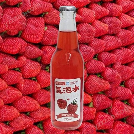 气泡水树莓味330ml果味汽水饮料玻璃瓶装碳酸饮料