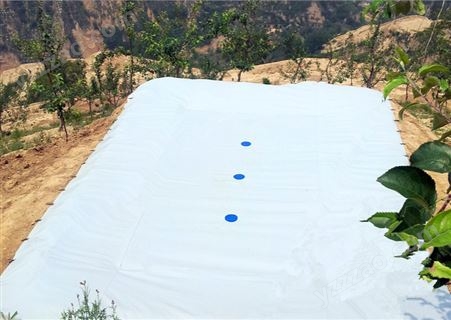 消防水窖厂家批发 干旱地区 地埋式 可移动软体水池