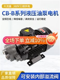 液压齿轮泵CB-B6/B4/B10/B2.5/B16/B20/25/B32三角机摆线油泵电机
