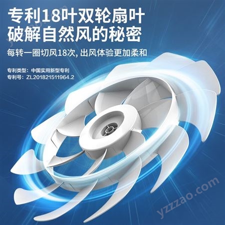 先锋(Singfun)轻奢风系列遥控电风扇落地扇摇头定时流通空气循环