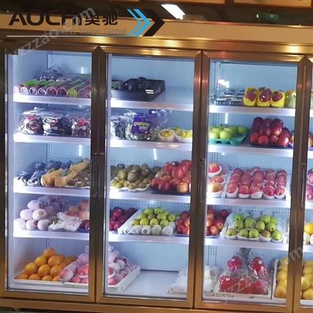 奥驰冷柜超市冷冻柜中山商用冷链厂家 水果蔬菜保鲜展示柜 中山冷柜