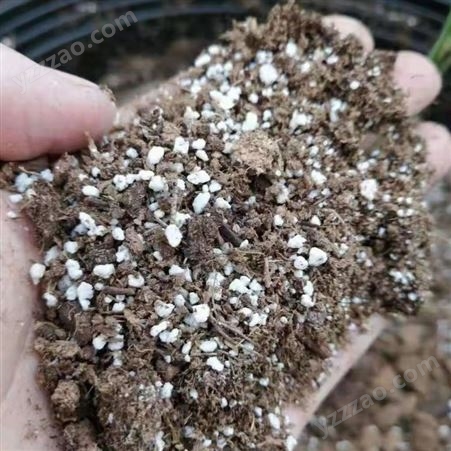 绿化种植 育苗基质 园艺栽培用散装松针土 疏松透气 营养丰富
