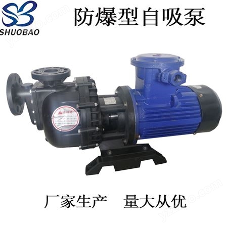 耐酸碱自吸泵 耐腐蚀排污提升马肚泵 废水输送循环离心泵BD-50032