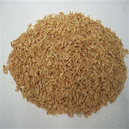 现货栽培基质用稻壳粉 兰花植料用稻壳 有机肥添加稻壳