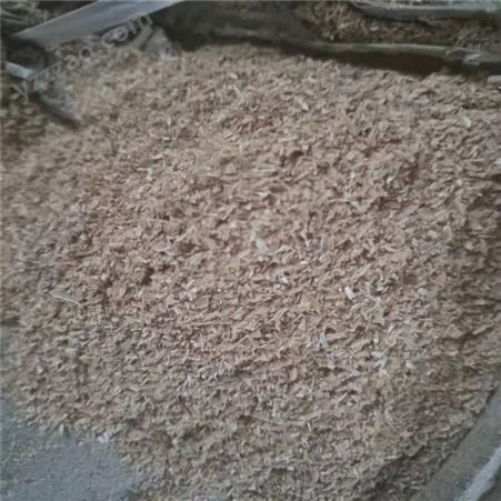 优质稻壳现货销售稻壳垫料稻壳