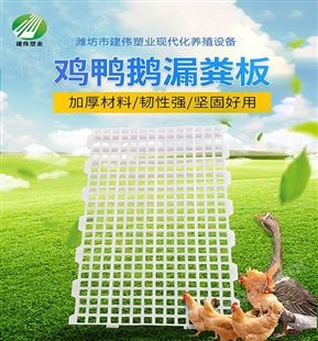 塑料家禽养殖设备 鸡苗漏粪板 养鸡漏粪地板