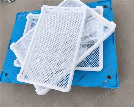 单冻器冷冻箱盘 清洗网单冻盘 塑料单冻盘  建伟塑业