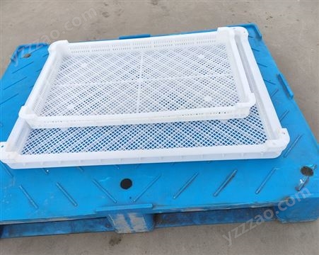 单冻器冷冻箱盘 清洗网单冻盘 塑料单冻盘  建伟塑业
