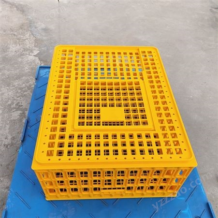 塑料鸡笼 运输鸡笼 周转鸡笼 笼框鸡框 建伟塑业厂家直售