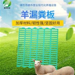 耐腐蚀羊漏粪板 塑料漏粪地板定制 塑料羊床 羊用养殖设备厂家
