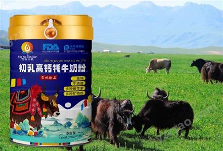 高蛋白牦牛奶粉 无蔗糖添加厂家 高原特产OEM代加工贴牌