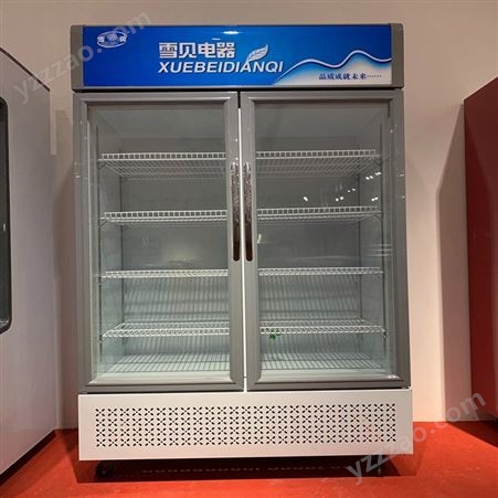 双门冷柜 超市饮料酒水柜 商用立式 大型冰箱柜 LC2-1200HF