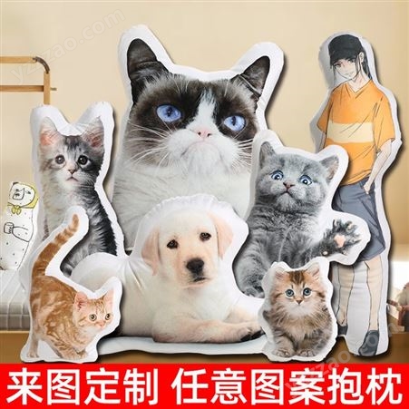 抱枕diy定制创意宠物照片异形来图定做动物企业logo公仔纪念靠枕
