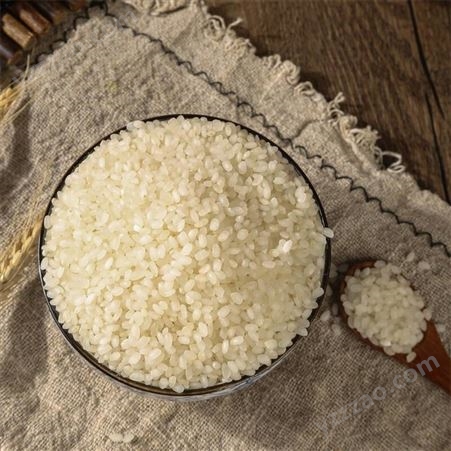 启旺过期发霉珍珠米回收霉变稻花香大米收购